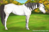 Horse Color:White Spotted Amber Champagne Dun Frame 