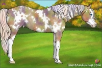 Horse Color:Nacre White Spotted Silver Smoky Black Splash 