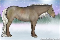 Horse Color:Liver Chestnut Rabicano