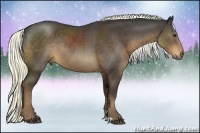 Horse Color:Liver Chestnut Rabicano