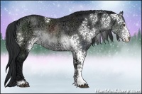 Horse Color:White Spotted Brown Chinchilla Ice Sabino