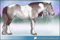 Horse Color:Chocolate Brown Chinchilla Tobiano Rabicano