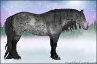 Horse Color:Brown Chinchilla Ice Rabicano