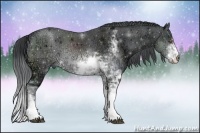 Horse Color:Brown Chinchilla Ice Sabino