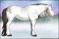 Horse Color:White Spotted Liver Chestnut Ice 