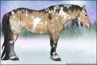 Horse Color:White Spotted Brown Dun 