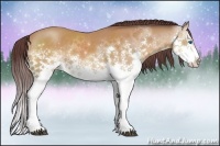 Horse Color:White Spotted Chocolate Brown Splash 
