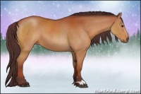 Horse Color:Chocolate Bay 