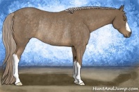 Horse Color:Chocolate Palomino Rabicano 