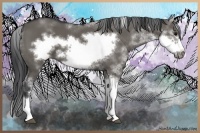 Horse Color:Grullo Sabino Frame 