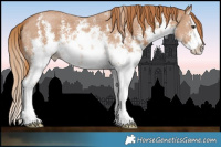 Horse Color:White Spotted Chestnut Sabino Splash 