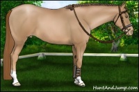 Horse Color:Liver Chestnut Pearl