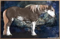 Horse Color:Liver Chestnut Sabino 