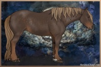 Horse Color:Liver Chestnut Rabicano 