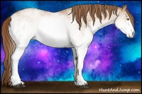 Horse Color:White Spotted Bay Pearl