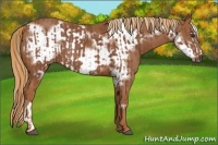 Horse Color:Chestnut  and Chestnut Frame 