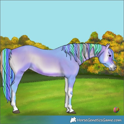 Horse Color:Painted Watercolor Brown Onyx 