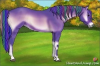 Horse Color:Painted Watercolor Brown Onyx 