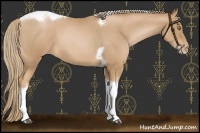 Horse Color:Red Roan Pearl Tobiano Frame