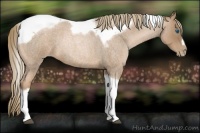 Horse Color:Liver Red Roan Pearl Tobiano Frame 