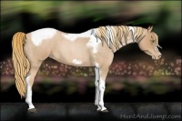 Horse Color:Red Roan Pearl Tobiano Frame