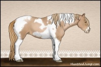 Horse Color:Red Roan Pearl Tobiano Frame
