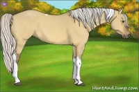 Horse Color:Silver Buckskin Dun Tobiano