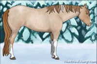 Horse Color:Red Roan Pearl Tobiano Frame