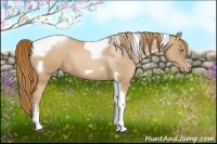 Horse Color:Red Roan Pearl Tobiano Frame