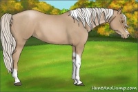 Horse Color:Silver Blue Roan Pearl Tobiano Frame 