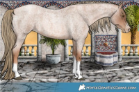 Horse Color:Liver Red Roan Pearl Tobiano Frame
