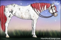 Horse Color:Painted Classic Champagne Ice Tobiano Blanket  and Painted Black Ice Sabino Blanket 