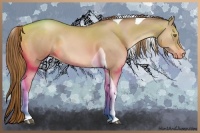 Horse Color:Liver Chestnut Pearl Tobiano 