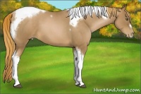 Horse Color:Liver Red Roan Pearl Tobiano Frame