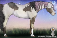 Horse Color:Bay Dun Brindle  and Buckskin Pearl Dun Splash Brindle 