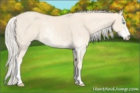 Horse Color:Cremello Sabino  and Cremello Sabino 
