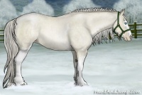Horse Color:White Spotted Chocolate Palomino Roan Pearl 