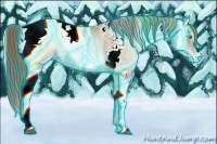 Horse Color:Thunderstruck Buckskin Pearl Onyx Tobiano
