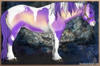 Horse Color:Watercolor Bay Onyx Tobiano Appaloosa