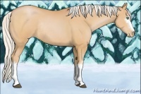 Horse Color:White Spotted Silver Bay Pearl Rabicano 