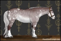 Horse Color:Chocolate Silver Brown Chinchilla Sabino