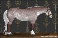 Horse Color:Chocolate Silver Black Chinchilla Sabino 