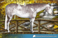 Horse Color:Chocolate Silver Brown Chinchilla Dun Sabino 