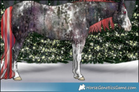 Horse Color:Painted Nacre White Spotted Silver Smoky Black Chinchilla Ice Pearl Tobiano and Painted Nacre Black Chinchilla Ice Sabino Tobiano Rabicano