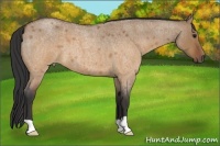 Horse Color:Brown Roan Dun
