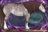 Horse Color:Chocolate Bay Chinchilla Splash Frame and Chocolate Black Chinchilla