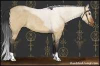 Horse Color:Bay Roan Dun Rabicano 