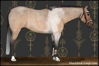 Horse Color:Brown Roan Dun Rabicano Brindle 