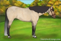 Horse Color:Brown Roan Dun Rabicano Brindle