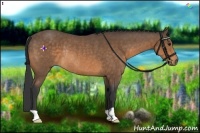 Horse Color:Buckskin Rabicano